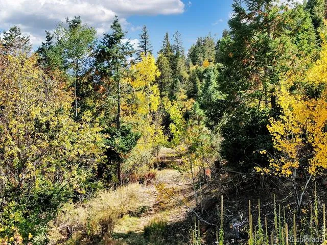 5260 Kulsa Road Cascade, CO 80809