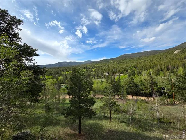 328 Skinner Road Allenspark, CO 80510