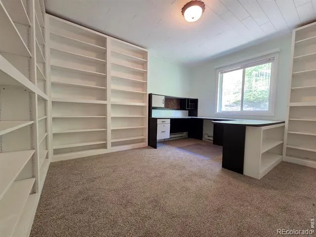 328 Skinner Road Allenspark, CO 80510