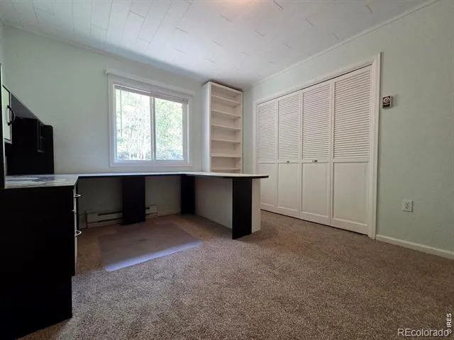 328 Skinner Road Allenspark, CO 80510