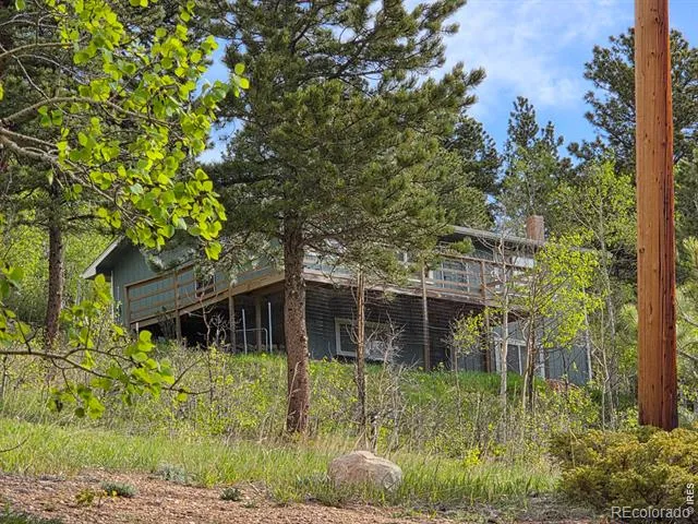 328 Skinner Road Allenspark, CO 80510