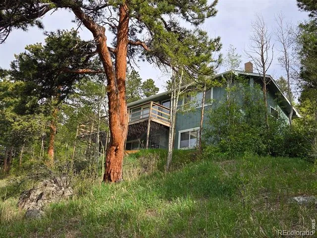 328 Skinner Road Allenspark, CO 80510