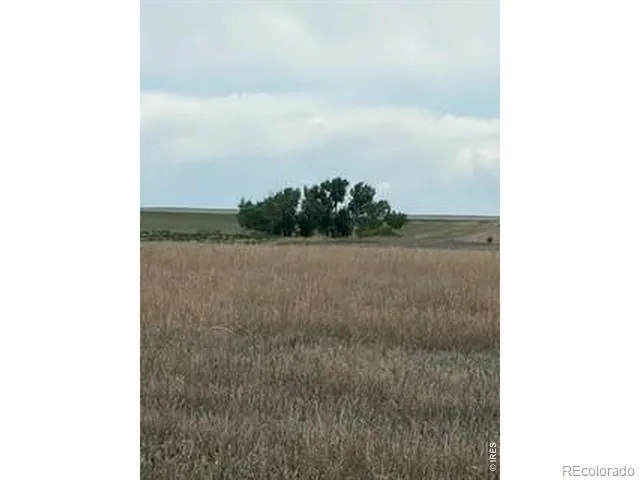 Peoria Crossing Road Wiggins, CO 80654