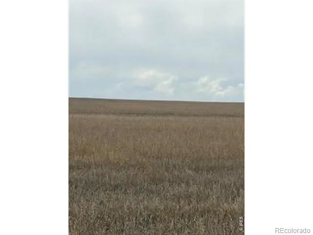 Peoria Crossing Road Wiggins, CO 80654