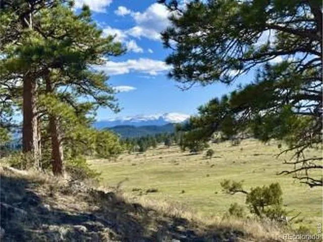 0 Red Feather Lake Rd 13 Livermore, CO 80536