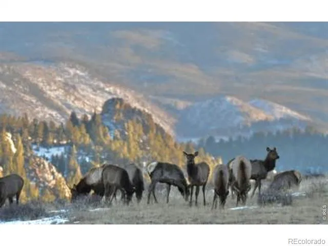 0 Red Feather Lake Rd 13 Livermore, CO 80536