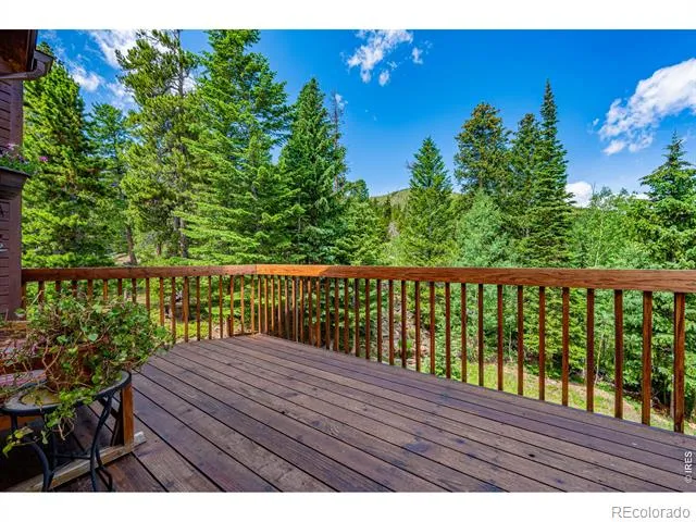 518 Meadow Mountain Drive Allenspark, CO 80510
