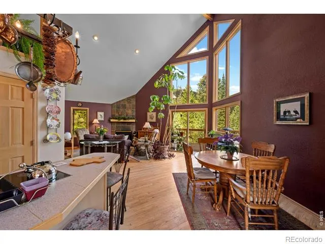 518 Meadow Mountain Drive Allenspark, CO 80510