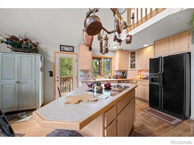518 Meadow Mountain Drive Allenspark, CO 80510