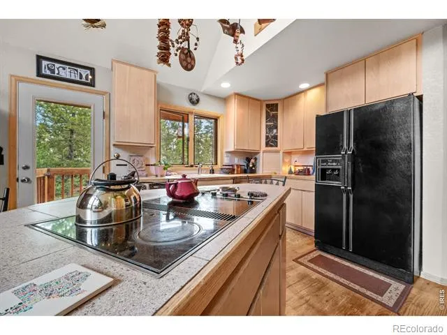 518 Meadow Mountain Drive Allenspark, CO 80510
