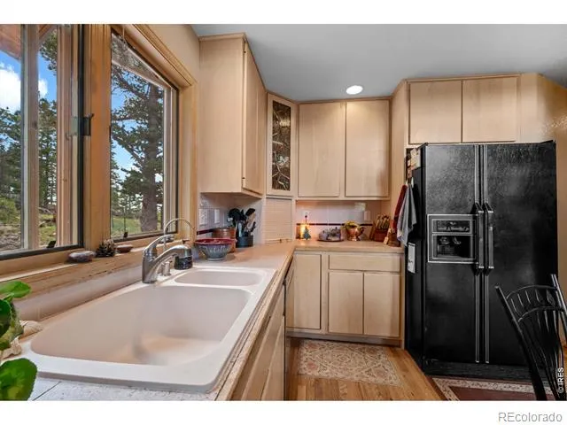 518 Meadow Mountain Drive Allenspark, CO 80510