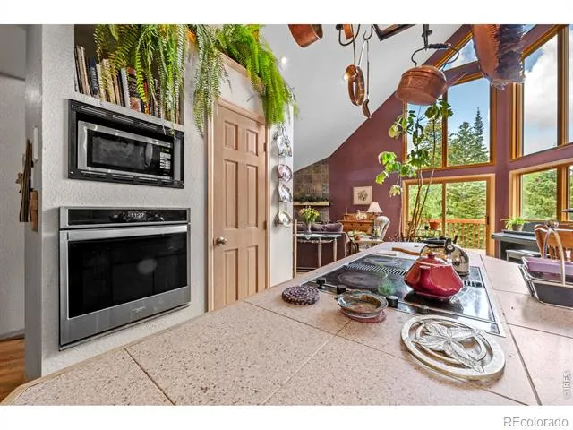 518 Meadow Mountain Drive Allenspark, CO 80510