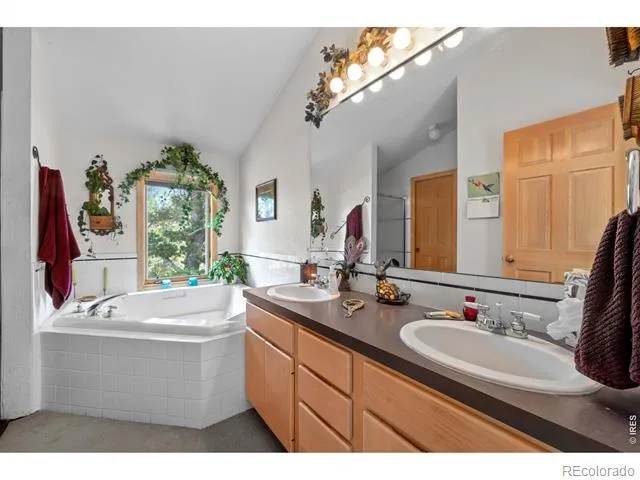 518 Meadow Mountain Drive Allenspark, CO 80510