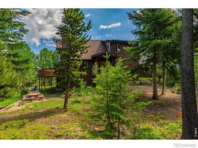 518 Meadow Mountain Drive Allenspark, CO 80510