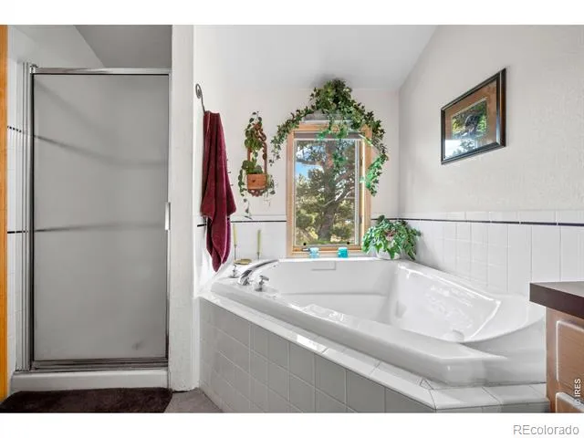 518 Meadow Mountain Drive Allenspark, CO 80510