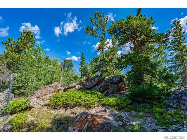518 Meadow Mountain Drive Allenspark, CO 80510