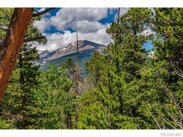 518 Meadow Mountain Drive Allenspark, CO 80510