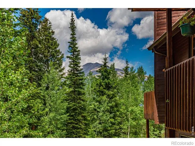 518 Meadow Mountain Drive Allenspark, CO 80510