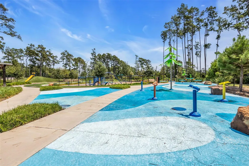 207 River Grove Court Willis, TX 77378
