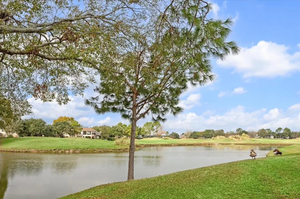 24543 Pelican Hill Drive Katy, TX 77494