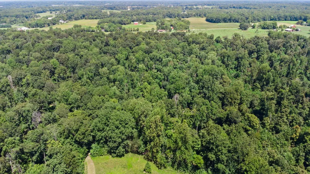 1318 Old Clarksville Pike Pleasant View, TN 37146