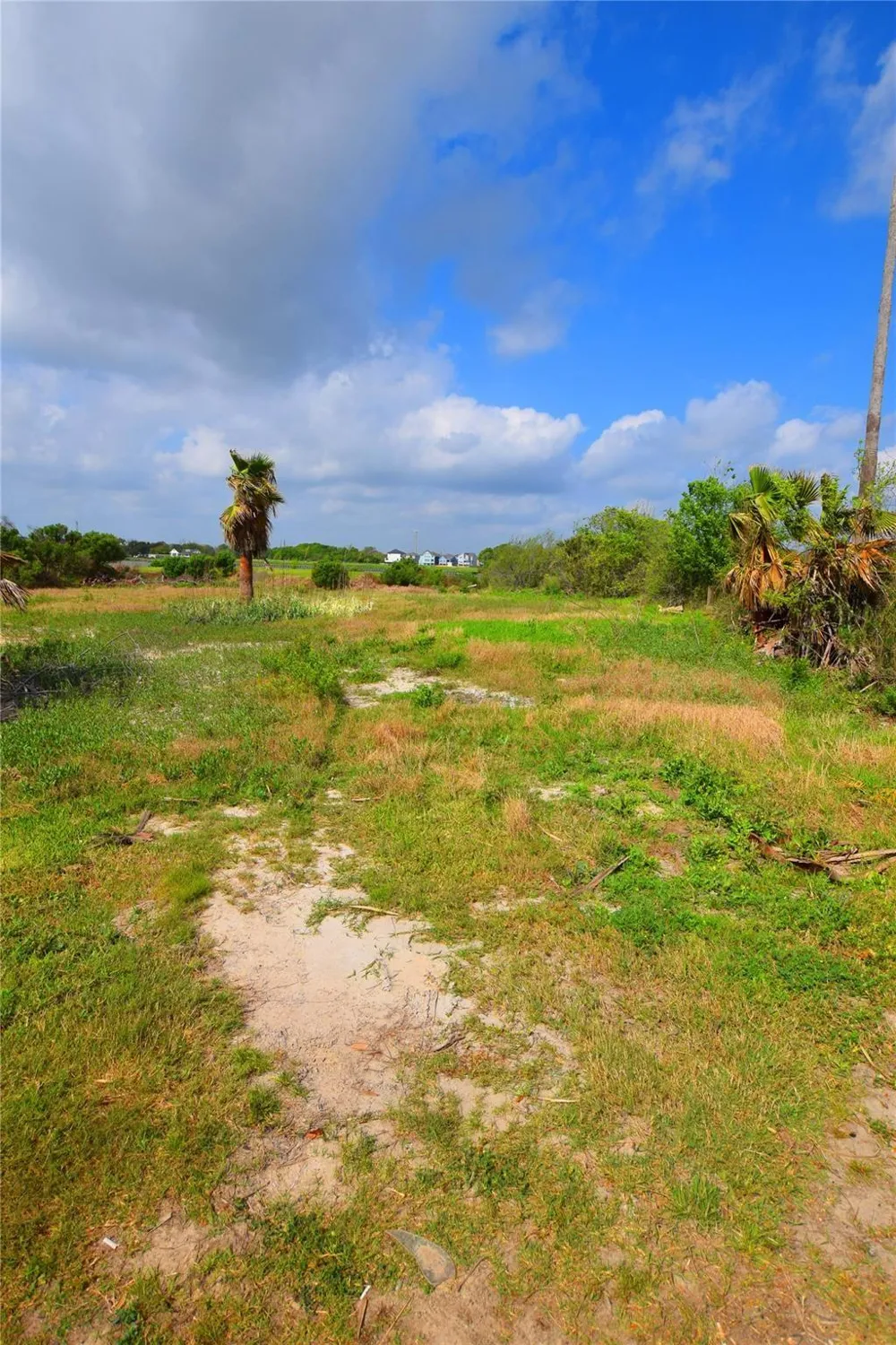 Todville Seabrook, TX 77586