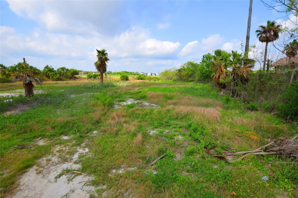 Todville Seabrook, TX 77586