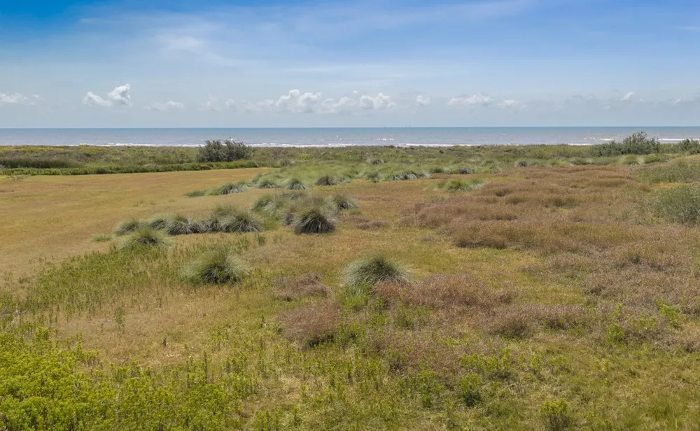 1842 Canal Sargent, TX 77414