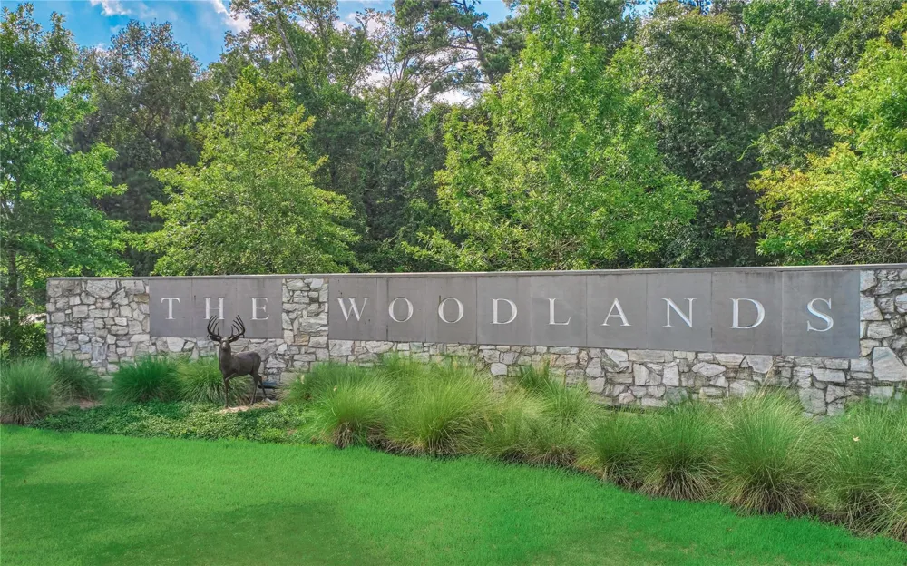 11 Ryanwyck Place The Woodlands, TX 77384