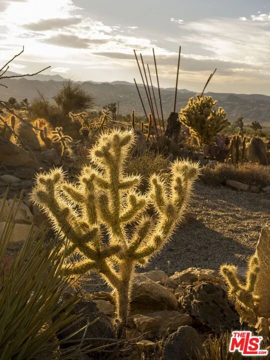 59489 Onaga Trail Joshua Tree, CA 92252