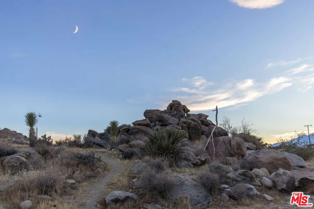 59489 Onaga Trail Joshua Tree, CA 92252