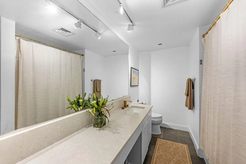 5000 Montrose Boulevard #15C Houston, TX 77006