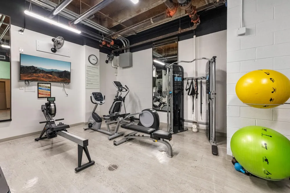 5000 Montrose Boulevard #15C Houston, TX 77006