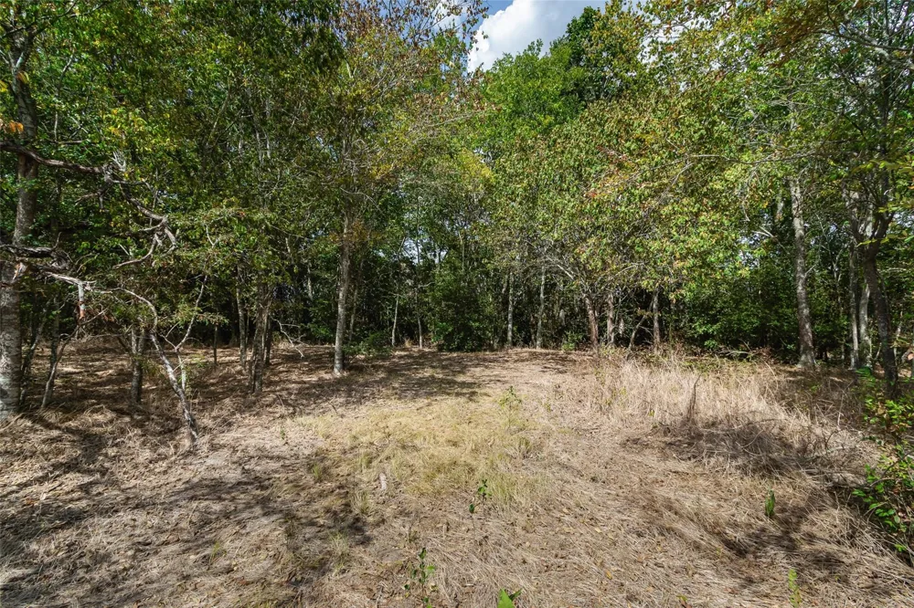21113 Harrison Drive Bedias, TX 77831