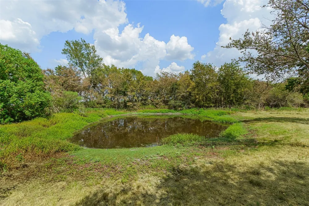 21113 Harrison Drive Bedias, TX 77831