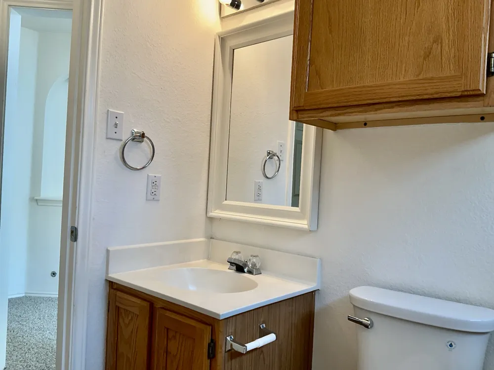 3123 Jazz Street Round Rock, TX 78664