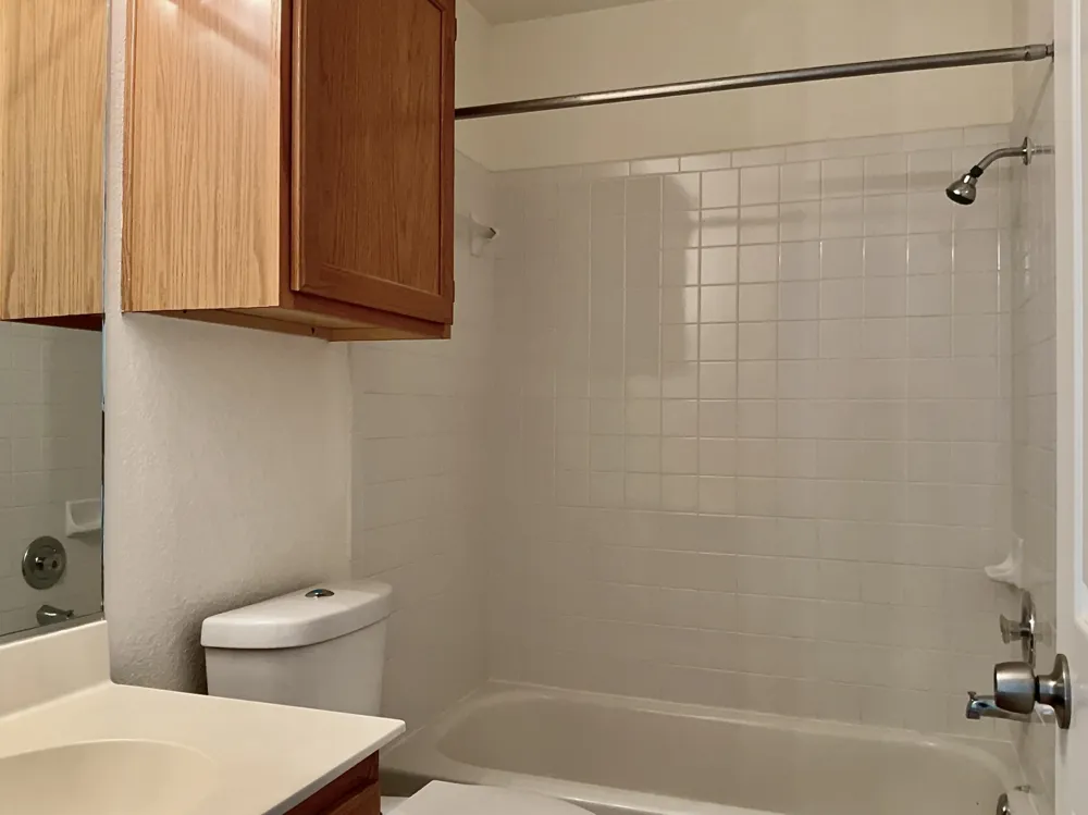 3123 Jazz Street Round Rock, TX 78664