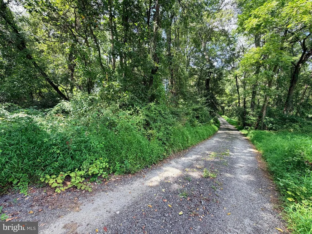 4392 ROUTE 97 Brookeville, MD 20833