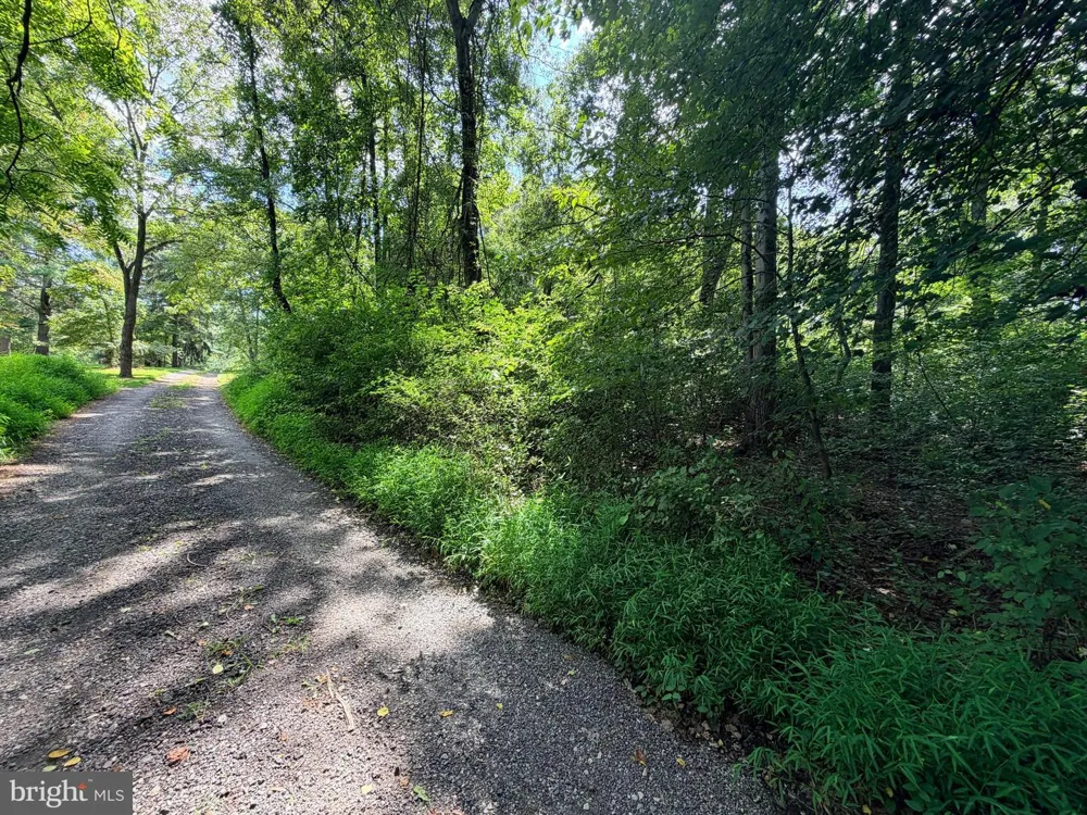 4392 ROUTE 97 Brookeville, MD 20833
