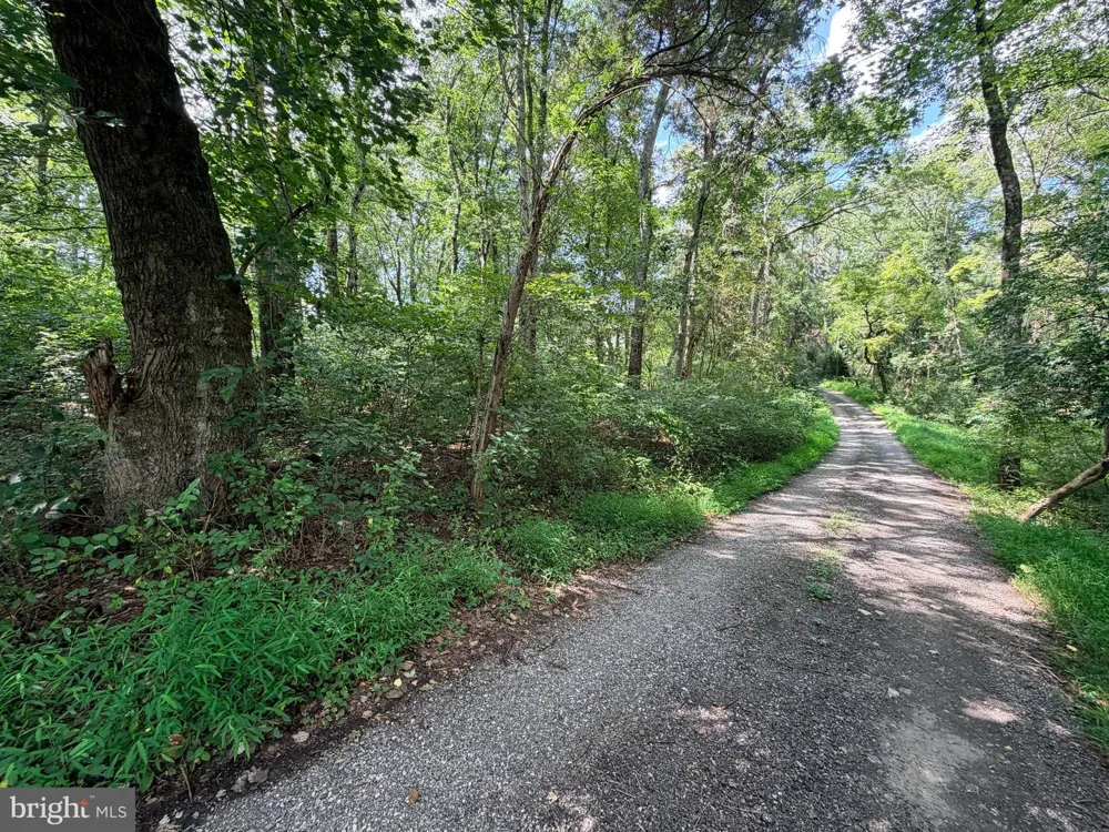 4392 ROUTE 97 Brookeville, MD 20833