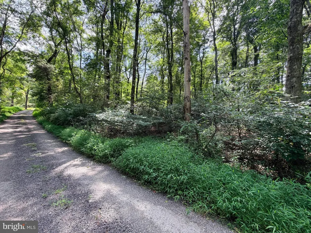 4392 ROUTE 97 Brookeville, MD 20833