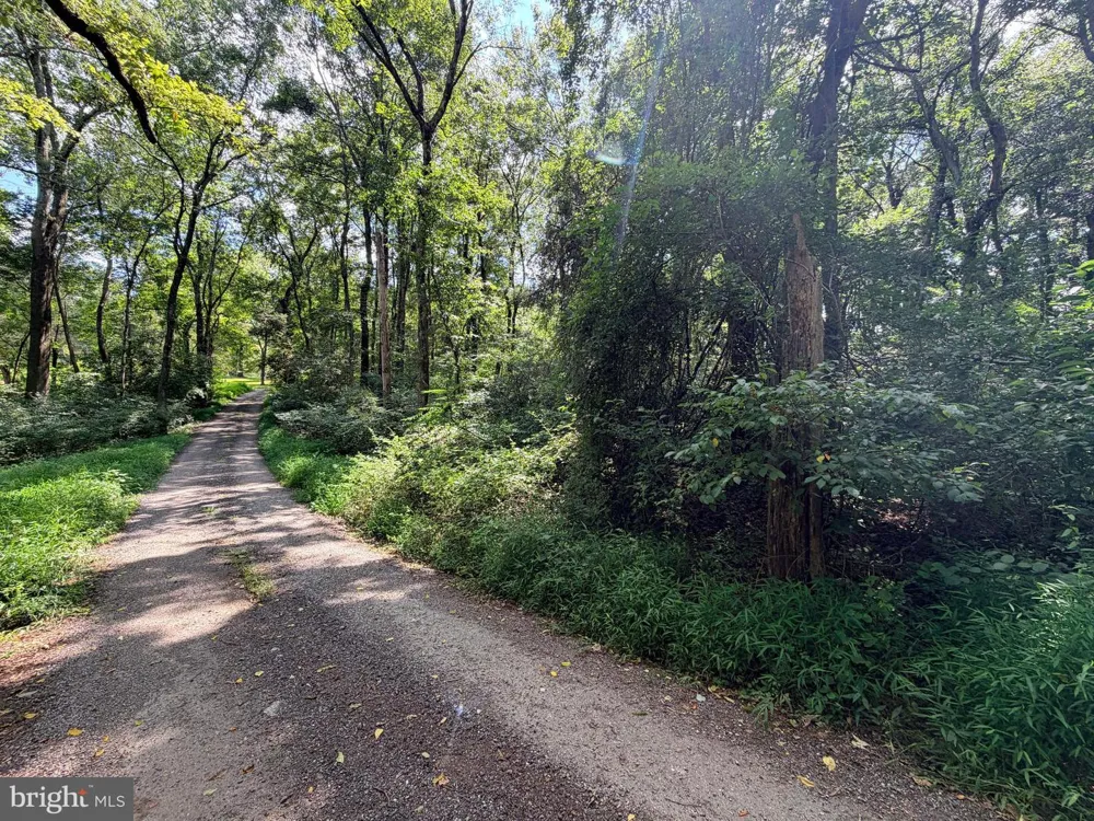 4392 ROUTE 97 Brookeville, MD 20833