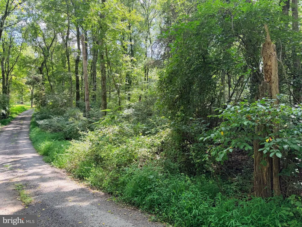 4392 ROUTE 97 Brookeville, MD 20833