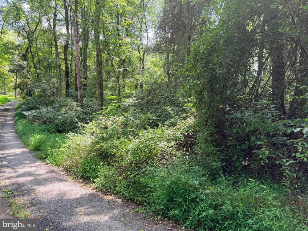4392 ROUTE 97 Brookeville, MD 20833