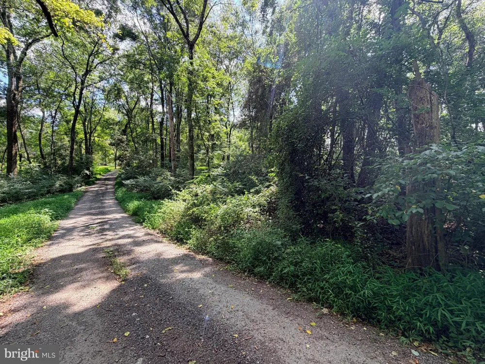4392 ROUTE 97 Brookeville, MD 20833