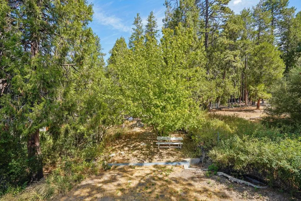 54700 S Circle Drive Idyllwild, CA 92549
