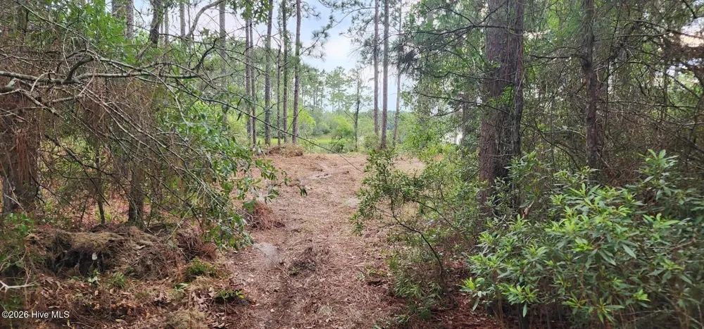 4 Pike Road Boiling Spring Lakes, NC 28461