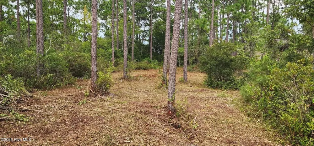 4 Pike Road Boiling Spring Lakes, NC 28461
