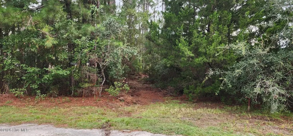4 Pike Road Boiling Spring Lakes, NC 28461
