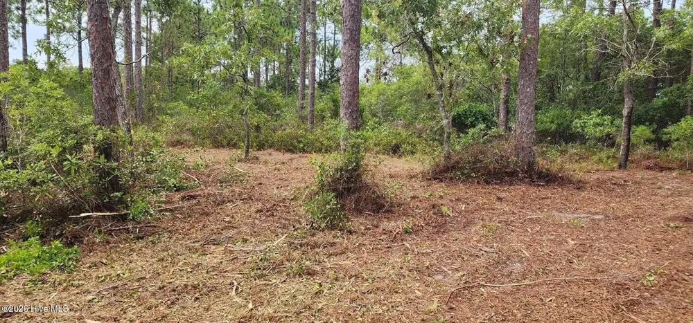 4 Pike Road Boiling Spring Lakes, NC 28461